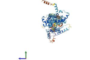Protein Structure (PS) image for Solute Carrier Family 26 (Sulfate Transporter), Member 7 (SLC26A7) (AA 1-656) protein (His tag) (ABIN7555299)
