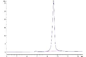 Size-exclusion chromatography-High Pressure Liquid Chromatography (SEC-HPLC) image for SARS-CoV-2 Spike (B.1.640), (RBD) protein (His tag) (ABIN7274871)