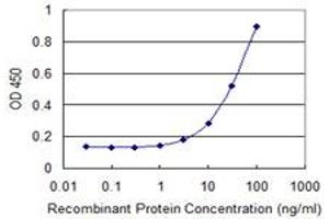 Detection limit for recombinant GST tagged RPS8 is 1 ng/ml as a capture antibody. (RPS8 抗体  (AA 109-207))