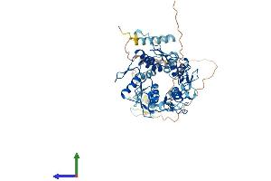 AlphaFold protein structure predicition of Human Recombinant ZNF564 Protein, UniprotID Q8TBZ8