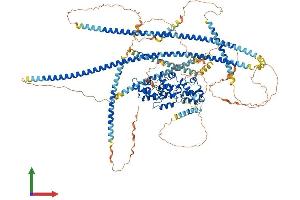 Protein Structure (PS) image for Protein Tyrosine Phosphatase F Interacting Protein 1 (PPFIA1) (AA 1-1202) protein (His tag) (ABIN7554411)
