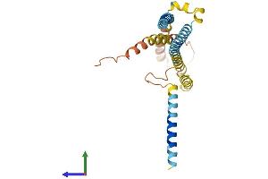 AlphaFold protein structure predicition of Mouse Recombinant Bri3bp Protein, UniprotID Q8BXV2