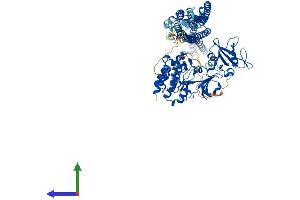AlphaFold protein structure predicition of Human Recombinant FES Protein, UniprotID P07332