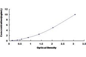 Typical standard curve (NANS ELISA 试剂盒)