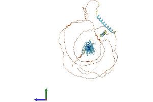 AlphaFold protein structure predicition of Mouse Recombinant Limd1 Protein, UniprotID Q9QXD8
