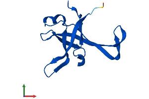 Protein Structure (PS) image for Ribosomal Protein L35a (RPL35A) (AA 1-110) protein (His tag) (ABIN7562489)