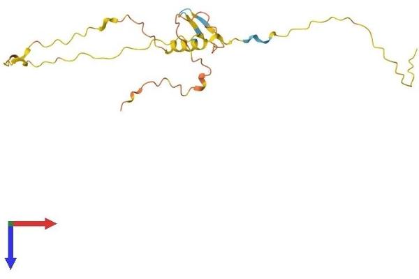 MOBP Protein (AA 1-183) (His tag)