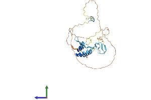 AlphaFold protein structure predicition of Mouse Recombinant Spry1 Protein, UniprotID Q9QXV9