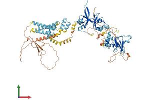 Protein Structure (PS) image for Cyclin M3 (CNNM3) (AA 1-713) protein (His tag) (ABIN7557026)