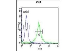 WTX Antibody (Center) (ABIN390467 and ABIN2840835) flow cytometric analysis of 293 cells (right histogram) compared to a negative control cell (left histogram). (WTX 抗体  (AA 681-708))
