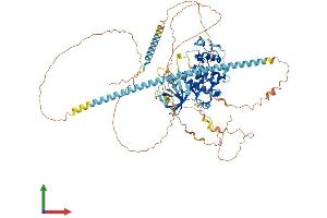 Protein Structure (PS) image for Cyclin-Dependent Kinase 11B (CDK11B) (AA 1-795) protein (His tag) (ABIN7553295)