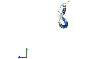 AlphaFold protein structure predicition of Human Recombinant CTAGE3P Protein, UniprotID Q8IX95