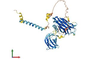 Protein Structure (PS) image for Synaptotagmin XII (SYT12) (AA 1-421) protein (His tag) (ABIN7560182)