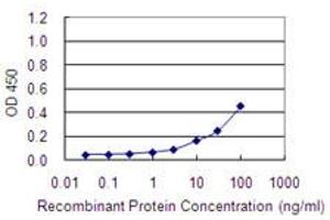 Detection limit for recombinant GST tagged C1orf163 is 1 ng/ml as a capture antibody. (C1orf163 抗体  (AA 1-231))