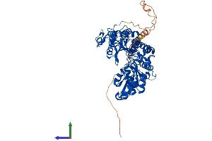 AlphaFold protein structure predicition of Mouse Recombinant Gad1 Protein, UniprotID P48318 (GAD Protein (AA 1-593) (His tag))