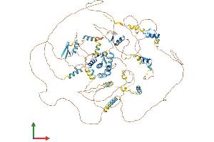 Protein Structure (PS) image for Teashirt Zinc Finger Homeobox 3 (TSHZ3) (AA 1-1081) protein (His tag) (ABIN7564576)