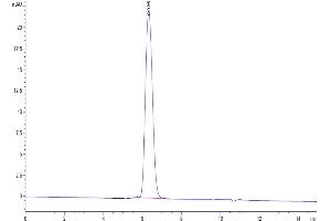 Size-exclusion chromatography-High Pressure Liquid Chromatography (SEC-HPLC) image for Platelet Derived Growth Factor Receptor beta (PDGFRB) (AA 33-530) protein (His-Avi Tag) (ABIN7275445)