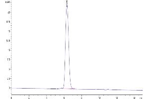 The purity of Human PDGF R beta is greater than 95 % as determined by SEC-HPLC. (PDGFRB Protein (AA 33-530) (His-Avi Tag))