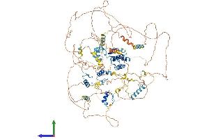 AlphaFold protein structure predicition of Human Recombinant TSHZ1 Protein, UniprotID Q6ZSZ6