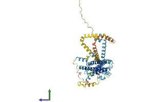 Protein Structure (PS) image for Perilipin 5 (PLIN5) (AA 1-463) protein (His tag) (ABIN7554960)