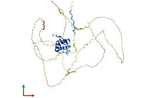 Protein Structure (PS) image for Forkhead Box F2 (FOXF2) (AA 1-446) protein (His tag) (ABIN7562403)