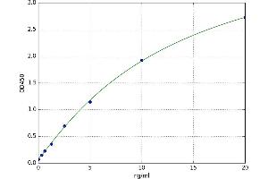 A typical standard curve (SMAD1 ELISA 试剂盒)