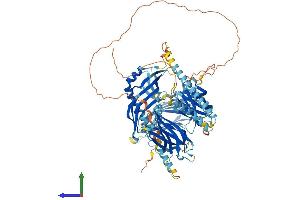 Protein Structure (PS) image for Extended Synaptotagmin 2 (ESYT2) (AA 1-845) protein (His tag) (ABIN7563688)