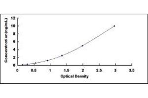 Typical standard curve (Glypican 3 ELISA 试剂盒)