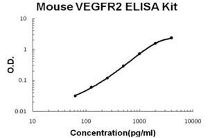 Mouse VEGFR2/KDR Accusignal ELISA Kit Mouse VEGFR2/KDR AccuSignal ELISA Kit standard curve. (VEGFR2/CD309 ELISA 试剂盒)