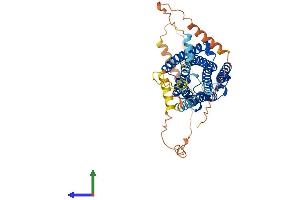 Protein Structure (PS) image for Cannabinoid Receptor 1 (CNR1) (AA 1-472) protein (His tag) (ABIN7546663)