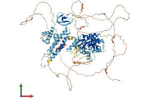 Protein Structure (PS) image for Kinase Suppressor of Ras 1 (KSR1) (AA 1-923) protein (His tag) (ABIN7554388)