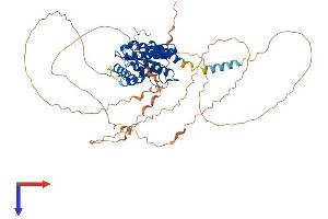 TOR1AIP1 Protein (AA 1-583) (His tag)