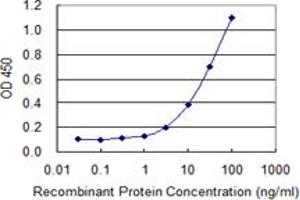 Detection limit for recombinant GST tagged CLDN16 is 0. (Claudin 16 抗体  (AA 1-73))