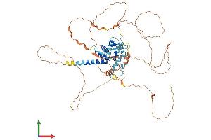 Protein Structure (PS) image for Zinc Finger and BTB Domain Containing 3 (ZBTB3) (AA 1-574) protein (His tag) (ABIN7545721)