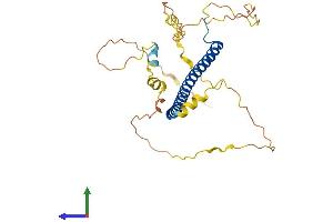 Protein Structure (PS) image for CCAAT/enhancer Binding Protein (C/EBP), epsilon (CEBPE) (AA 1-281) protein (His tag) (ABIN7553348)