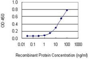 ELISA image for anti-STE20-Related Kinase Adaptor beta (STRADB) (AA 319-418) antibody (ABIN527535)