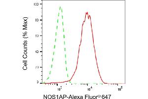 Flow cytometric analysis of NOS1AP expression in HepG2 cells using NOS1AP antibody (ABIN7799605), 1:2,000). (Recombinant NOS1AP 抗体)