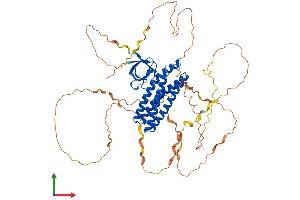 AlphaFold protein structure predicition of Mouse Recombinant Efs Protein, UniprotID Q64355