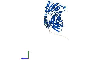 Protein Structure (PS) image for Protein Arginine Methyltransferase 6 (PRMT6) (AA 1-375) protein (His tag) (ABIN7552220)