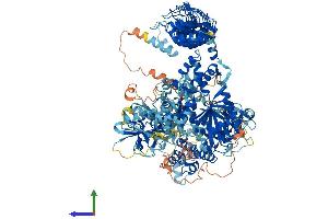 AlphaFold protein structure predicition of Human Recombinant DAPK1 Protein, UniprotID P53355 (DAP Kinase 1 Protein (AA 1-1430) (His tag))