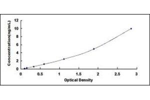 Typical standard curve (Peroxiredoxin 1 ELISA 试剂盒)