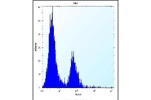 CA1 Antibody (N-term) (ABIN656574 and ABIN2845835) flow cytometric analysis of HE cells (right histogram) compared to a negative control cell (left histogram). (CA1 抗体  (N-Term))
