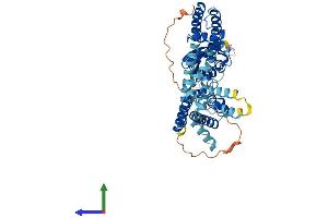 Protein Structure (PS) image for Potassium Voltage-Gated Channel, Subfamily F, Member 1 (KCNF1) (AA 1-493) protein (His tag) (ABIN7558294)
