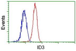 Image no. 2 for anti-Inhibitor of DNA Binding 3, Dominant Negative Helix-Loop-Helix Protein (ID3) antibody (ABIN1498780) (ID3 抗体)