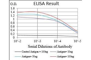 Black line: Control Antigen (100 ng), Purple line: Antigen(10 ng), Blue line: Antigen (50 ng), Red line: Antigen (100 ng), (IGFBP7 抗体  (AA 52-156))