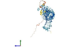 Protein Structure (PS) image for Leucine Rich Repeat Containing 40 (LRRC40) (AA 1-602) protein (His tag) (ABIN7560634)