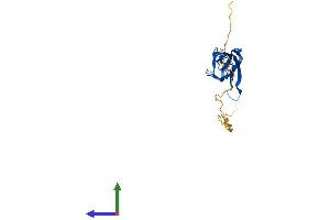 Protein Structure (PS) image for Nucleophosmin/nucleoplasmin 2 (NPM2) (AA 1-207) protein (His tag) (ABIN7558384)