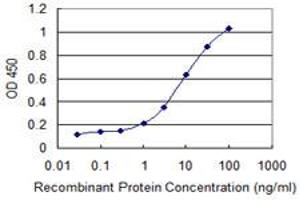 Detection limit for recombinant GST tagged CAPN3 is 0. (Calpain 3 抗体  (AA 210-309))