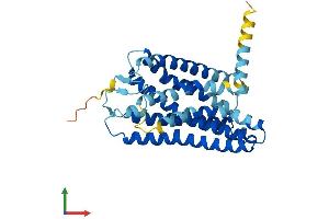 Protein Structure (PS) image for Olfactory Receptor, Family 2, Subfamily C, Member 3 (OR2C3) (AA 1-320) protein (His tag) (ABIN7550241)
