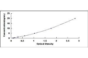 Typical standard curve (ALDH1L1 ELISA 试剂盒)